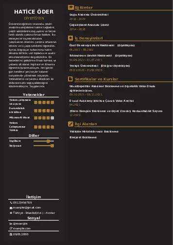 Beslenme Uzmanı Diyetisyen CV Örnekleri cv indir